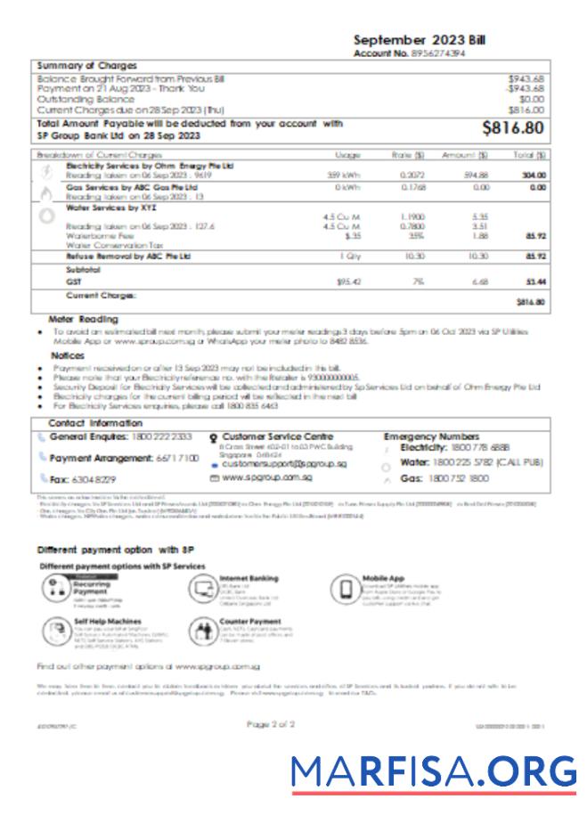 Realistic SP Group utility business bill, SCR, page 2 template